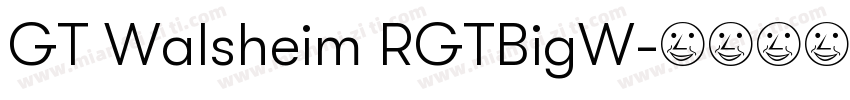 GT Walsheim RGTBigW字体转换